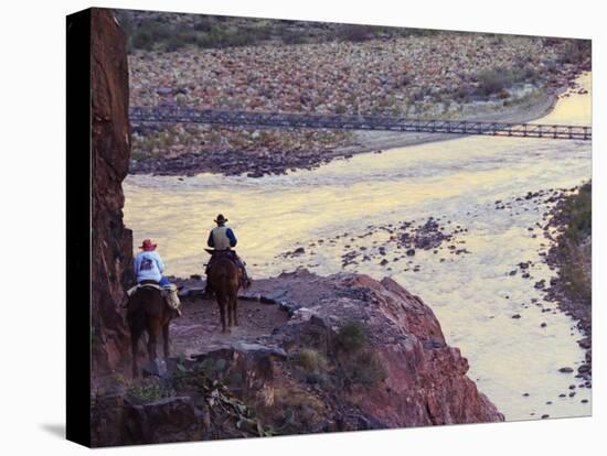 Mules Taking Tourists Along the Colorado River Trail, Grand Canyon, Arizona, USA-Kober Christian-Stretched Canvas