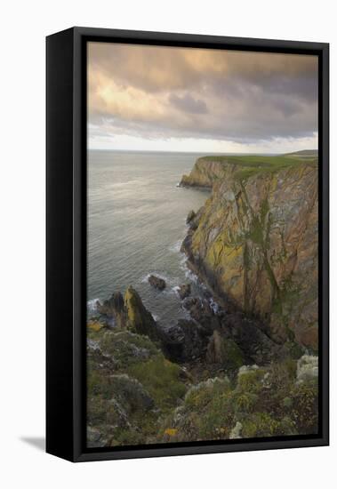 Mull of Galloway, Rhins of Galloway, Dumfries and Galloway, Scotland, UK-Gary Cook-Framed Stretched Canvas