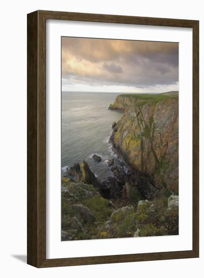 Mull of Galloway, Rhins of Galloway, Dumfries and Galloway, Scotland, UK-Gary Cook-Framed Photographic Print