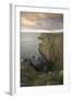 Mull of Galloway, Rhins of Galloway, Dumfries and Galloway, Scotland, UK-Gary Cook-Framed Photographic Print