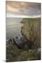 Mull of Galloway, Rhins of Galloway, Dumfries and Galloway, Scotland, UK-Gary Cook-Mounted Photographic Print