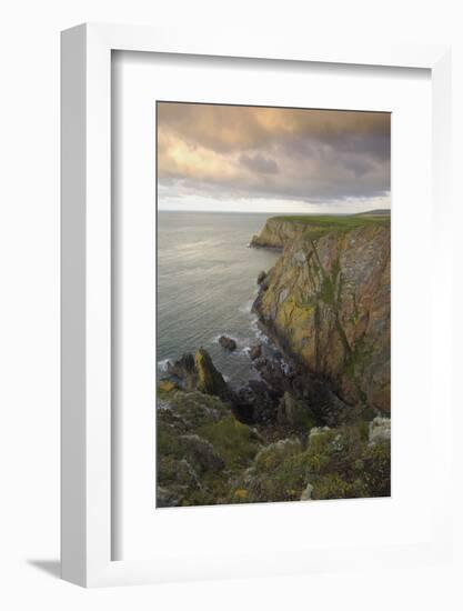 Mull of Galloway, Rhins of Galloway, Dumfries and Galloway, Scotland, UK-Gary Cook-Framed Photographic Print