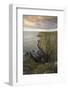 Mull of Galloway, Rhins of Galloway, Dumfries and Galloway, Scotland, UK-Gary Cook-Framed Photographic Print