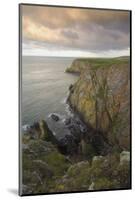 Mull of Galloway, Rhins of Galloway, Dumfries and Galloway, Scotland, UK-Gary Cook-Mounted Photographic Print