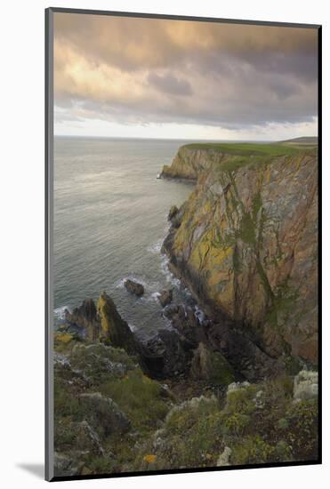 Mull of Galloway, Rhins of Galloway, Dumfries and Galloway, Scotland, UK-Gary Cook-Mounted Photographic Print