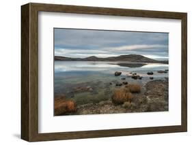 Mullagh More, The Burren, County Clare, Munster, Republic of Ireland-Carsten Krieger-Framed Photographic Print