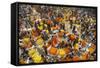 Mullik Ghat Flower Market, Kolkata (Calcutta), West Bengal, India, Asia-Bruno Morandi-Framed Stretched Canvas