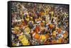 Mullik Ghat Flower Market, Kolkata (Calcutta), West Bengal, India, Asia-Bruno Morandi-Framed Stretched Canvas