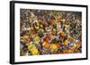 Mullik Ghat Flower Market, Kolkata (Calcutta), West Bengal, India, Asia-Bruno Morandi-Framed Photographic Print