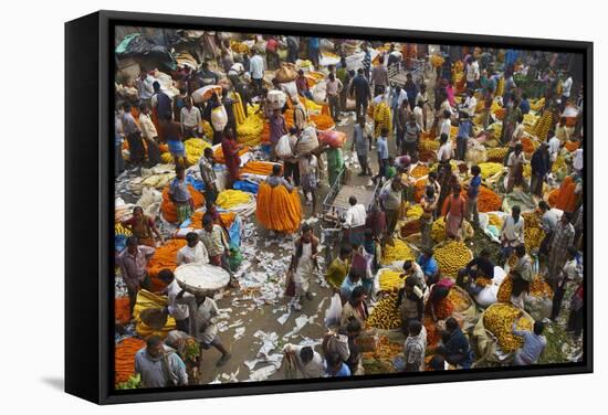 Mullik Ghat Flower Market, Kolkata (Calcutta), West Bengal, India, Asia-Bruno Morandi-Framed Stretched Canvas