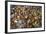 Mullik Ghat Flower Market, Kolkata (Calcutta), West Bengal, India, Asia-Bruno Morandi-Framed Photographic Print