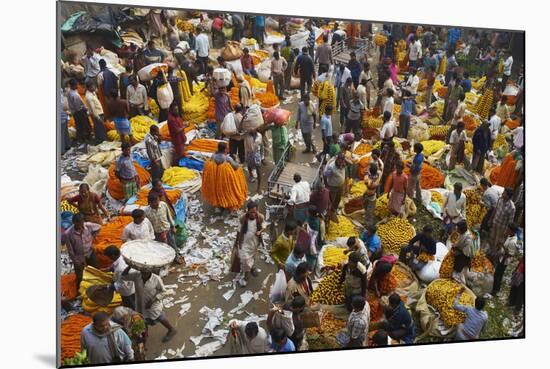 Mullik Ghat Flower Market, Kolkata (Calcutta), West Bengal, India, Asia-Bruno Morandi-Mounted Photographic Print