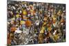 Mullik Ghat Flower Market, Kolkata (Calcutta), West Bengal, India, Asia-Bruno Morandi-Mounted Photographic Print