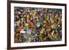 Mullik Ghat Flower Market, Kolkata (Calcutta), West Bengal, India, Asia-Bruno Morandi-Framed Photographic Print