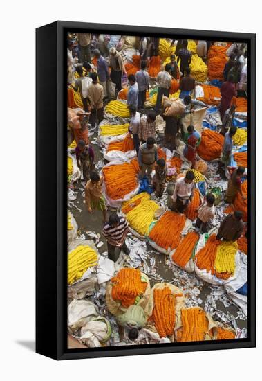 Mullik Ghat Flower Market, Kolkata (Calcutta), West Bengal, India, Asia-Bruno Morandi-Framed Stretched Canvas