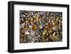 Mullik Ghat Flower Market, Kolkata (Calcutta), West Bengal, India, Asia-Bruno Morandi-Framed Photographic Print