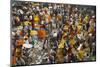 Mullik Ghat Flower Market, Kolkata (Calcutta), West Bengal, India, Asia-Bruno Morandi-Mounted Photographic Print