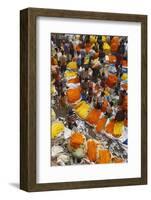 Mullik Ghat Flower Market, Kolkata (Calcutta), West Bengal, India, Asia-Bruno Morandi-Framed Photographic Print