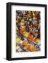 Mullik Ghat Flower Market, Kolkata (Calcutta), West Bengal, India, Asia-Bruno Morandi-Framed Photographic Print