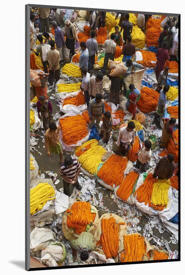 Mullik Ghat Flower Market, Kolkata (Calcutta), West Bengal, India, Asia-Bruno Morandi-Mounted Photographic Print