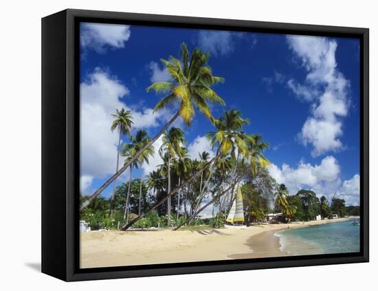 Mullins Beach, St Peter Parish, Barbados, Caribbean-Robert Francis-Framed Stretched Canvas