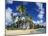 Mullins Beach, St Peter Parish, Barbados, Caribbean-Robert Francis-Mounted Photographic Print