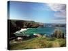 Mullion Cove in Cornwall-null-Stretched Canvas