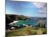 Mullion Cove in Cornwall-null-Mounted Photographic Print