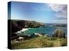 Mullion Cove in Cornwall-null-Stretched Canvas