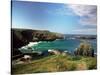 Mullion Cove in Cornwall-null-Stretched Canvas