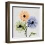 Multi Chrysanthemum-Albert Koetsier-Framed Art Print