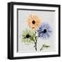 Multi Chrysanthemum-Albert Koetsier-Framed Art Print