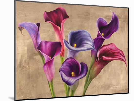 Multi-colored Callas-Jenny Thomlinson-Mounted Giclee Print