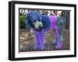 Black Frame