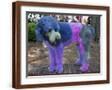 Brown Frame