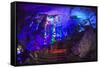 Multi Colored Lights in the Reed Flute Cave-Terry Eggers-Framed Stretched Canvas