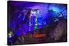 Multi Colored Lights in the Reed Flute Cave-Terry Eggers-Stretched Canvas