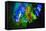 Multi Colored Lights in the Reed Flute Cave-Terry Eggers-Framed Stretched Canvas