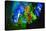 Multi Colored Lights in the Reed Flute Cave-Terry Eggers-Stretched Canvas