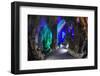 Multi Colored Lights in the Reed Flute Cave-Terry Eggers-Framed Photographic Print