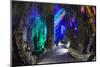 Multi Colored Lights in the Reed Flute Cave-Terry Eggers-Mounted Photographic Print