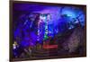 Multi Colored Lights in the Reed Flute Cave-Terry Eggers-Framed Photographic Print