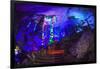 Multi Colored Lights in the Reed Flute Cave-Terry Eggers-Framed Photographic Print