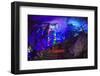 Multi Colored Lights in the Reed Flute Cave-Terry Eggers-Framed Photographic Print