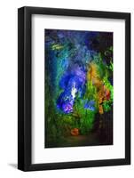 Multi Colored Lights in the Reed Flute Cave-Terry Eggers-Framed Photographic Print