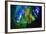 Multi Colored Lights in the Reed Flute Cave-Terry Eggers-Framed Photographic Print