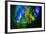 Multi Colored Lights in the Reed Flute Cave-Terry Eggers-Framed Photographic Print