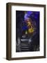 Multi Colored Lights in the Reed Flute Cave-Terry Eggers-Framed Photographic Print