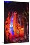 Multi Colored Lights in the Reed Flute Cave-Terry Eggers-Stretched Canvas