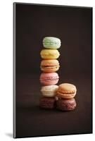 Multi-Colored Macaroons; Stacked-Colin Cooke-Mounted Photographic Print